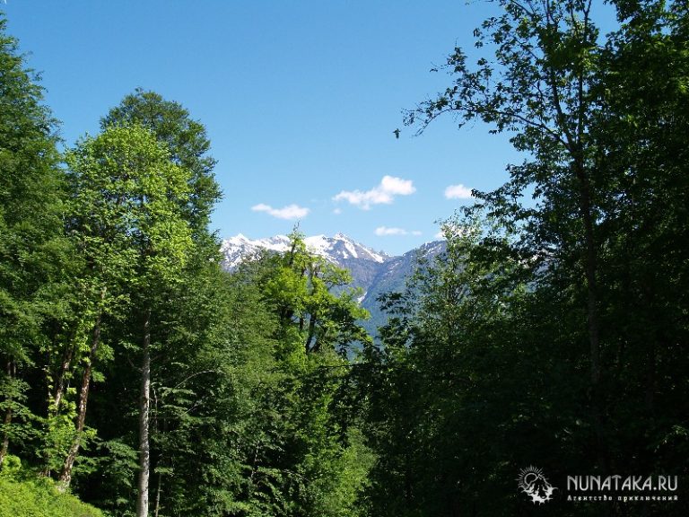 Красная Поляна
