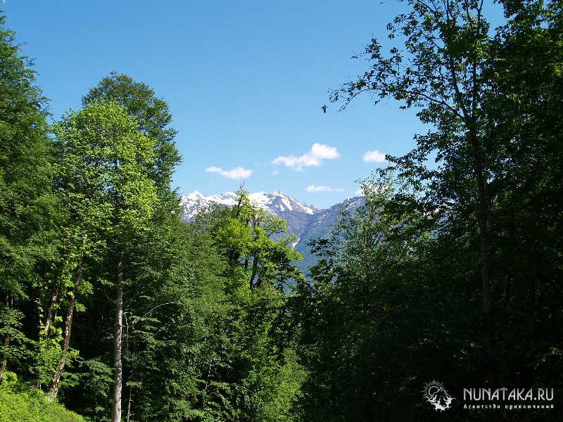 Красная Поляна