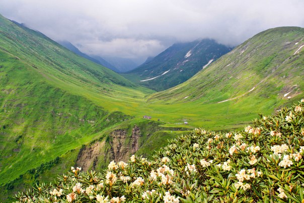 Прогулка по альпийским лугам Красной поляны