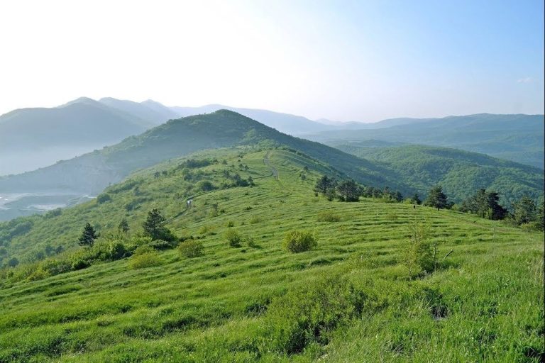 Мегалиты, спрятанные на горе Нексис в Геленджике